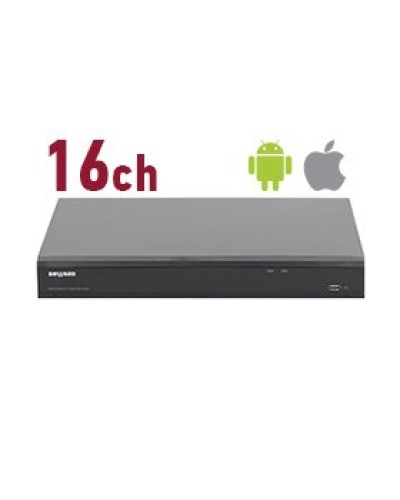 RK2216. Видеорегистратор IP 16-канальный. Beward в Тюмени