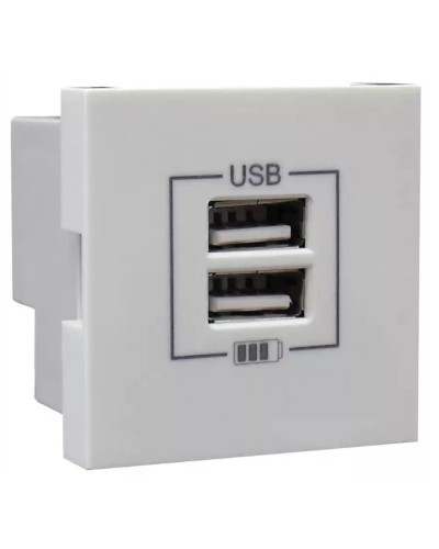 Розетка USB двойная, зарядная, белая (45439 SBR): Розетка USB двойная в Тюмени