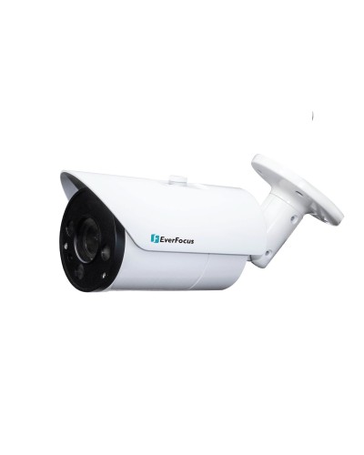 EZN-268V. Видеокамера IP купольная. EverFocus в Тюмени