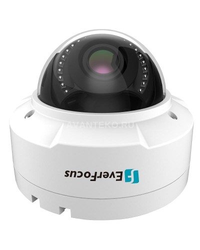 EHN-1250. Видеокамера IP купольная. EverFocus в Тюмени
