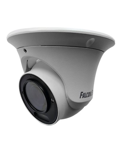 FE-IPC-DV5-40pa. Видеокамера IP купольная. Falcon EYE в Тюмени