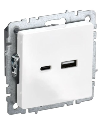 Розетка USB A+C 18Вт РЮ11-1-БрБ белый BRITE (BR-U22-018-K01). Розетка USB. IEK в Тюмени