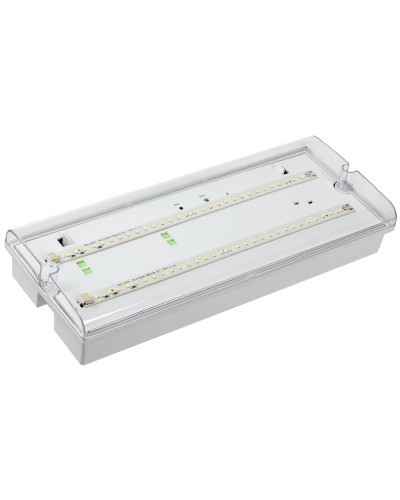 Светильник аварийный ДПА 5042-1 1ч IP65 LIGHTING (LDPA0-5042-1-65-K01). Светильник аварийный универсальный. IEK в Тюмени