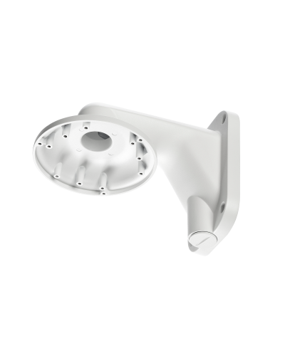 RVi-1BWM-5 white. Кронштейн настенный. RVi в Тюмени