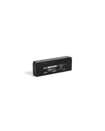 SKAT SB 12022 (2539). Аккумулятор герметичный свинцово-кислотный. Бастион в Тюмени