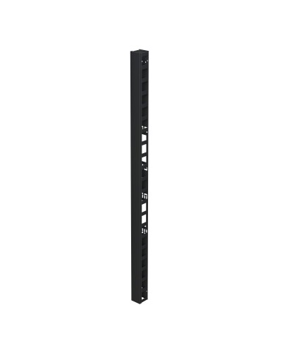 Организатор вертикальный с крышкой 47U, 90мм, для IT-CQE черный (R5VRPC4790B). Организатор вертикальный с крышкой. ДКС в Тюмени