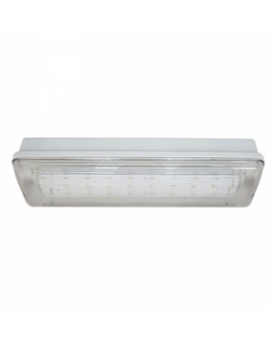 SL-213-30LED1.8 исп. 1 IP65. Светильник аварийного освещения. ИП Раченков А.В. в Тюмени